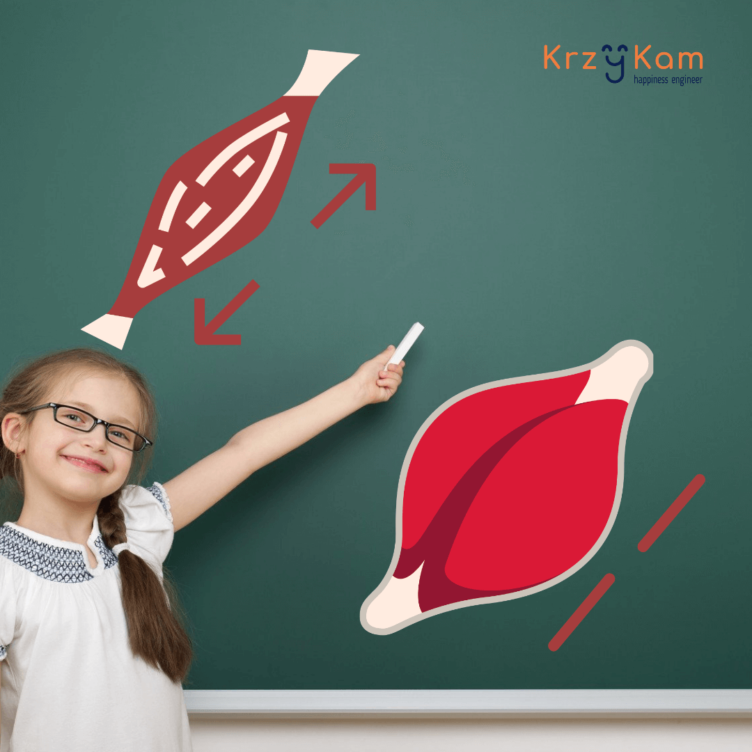 skurcz izometryczny, skurcz izotoniczne, ekscentryczny, koncentryczny, ruch mięśni